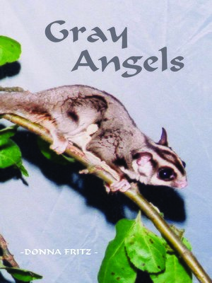 cover image of Gray Angels